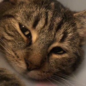 Meet your Posher, Mary kate